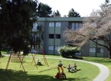Cedartree Village - surrey, British Columbia - Apartment for Rent