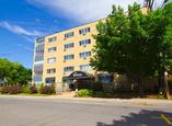 255 Stewart Street - Ottawa, Ontario - Apartment for Rent