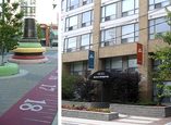 Toronto rental suites - Toronto, Ontario - Apartment for Rent