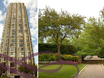 Apartments for Rent in Toronto -  10 Lisa Street Brampton - CanadaRentalGuide.com