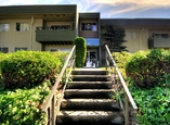 Kamel Point Village Apartments - Victoria, British Columbia - Apartment for Rent