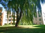 Avenue Wilson Apartments - Toronto, Ontario - Apartment for Rent