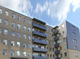 Greencrest Avenue Apartments - Scarborough , Ontario - Apartment for Rent