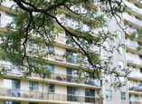 180 Cherryhilll Circle - London, Ontario - Apartment for Rent