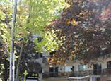 Lakeshore Apartments - Etobicoke, Ontario - Apartment for Rent