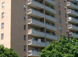3045 Queen Frederica Drive - Mississauga, Ontario - Apartment for Rent