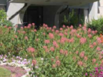 Apartments for Rent in Toronto -  50 Cosburn Avenue - CanadaRentalGuide.com