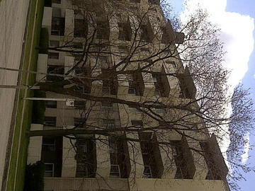 Apartments for Rent in Toronto -  Sheldon Towers - CanadaRentalGuide.com